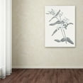 thumbnail image 3 of Trademark Fine Art 'Neutral Botanical IV' Canvas Art by Wild Apple Portfolio, 3 of 3