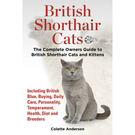 British Shorthair Cats, The Complete Owners Guide to British Shorthair Cats and Kittens Including British Blue, Buying, Daily Care, Personality, Temperament, Health, Diet and Breeders - (Best Bengal Cat Breeders)