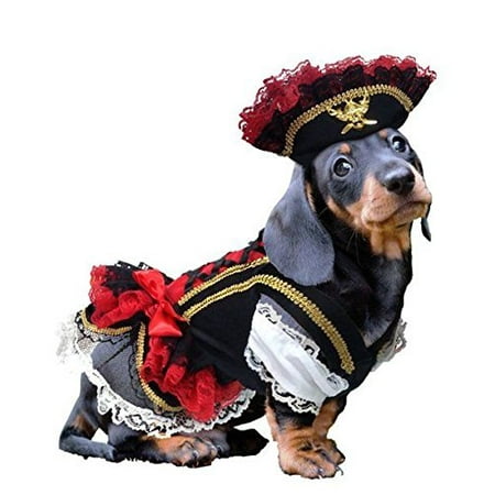 Swashbuckler Pirate Dog Costume Detailed Black Velveteen Petticoat Dress and Hat(Size 4)