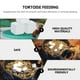 thumbnail image 4 of EeaseMX 12 piezas de sustrato de piedra de calcio para pecera, mineral de calcio natural para tortugas, 4 of 7