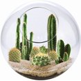 thumbnail image 1 of Mini Desert Collection, 1 of 4