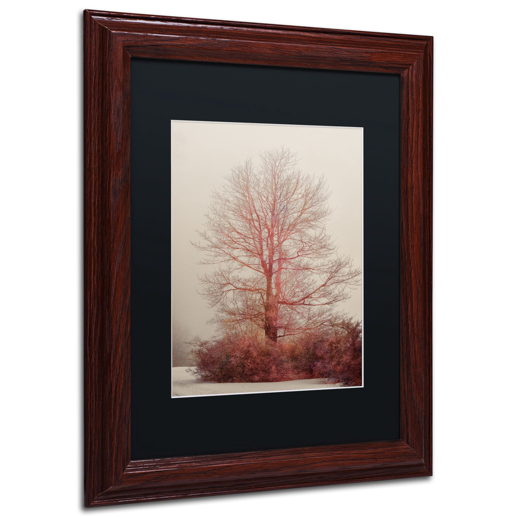 Trademark Fine Art "A-Blush in the Fog" Canvas Art by Lois Bryan, Black Mat, Black Frame