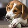 thumbnail image 1 of Durable Pet Molar Supplies Point Massage Toothpaste Slow Food Toys Dog Toothbrush Chew Toy Stick Soft Rubber Tooth Cleaning Digging for Dogs Dog for Aggressive Chewers Large Breed Dog Tough Small Dog, 1 of 2