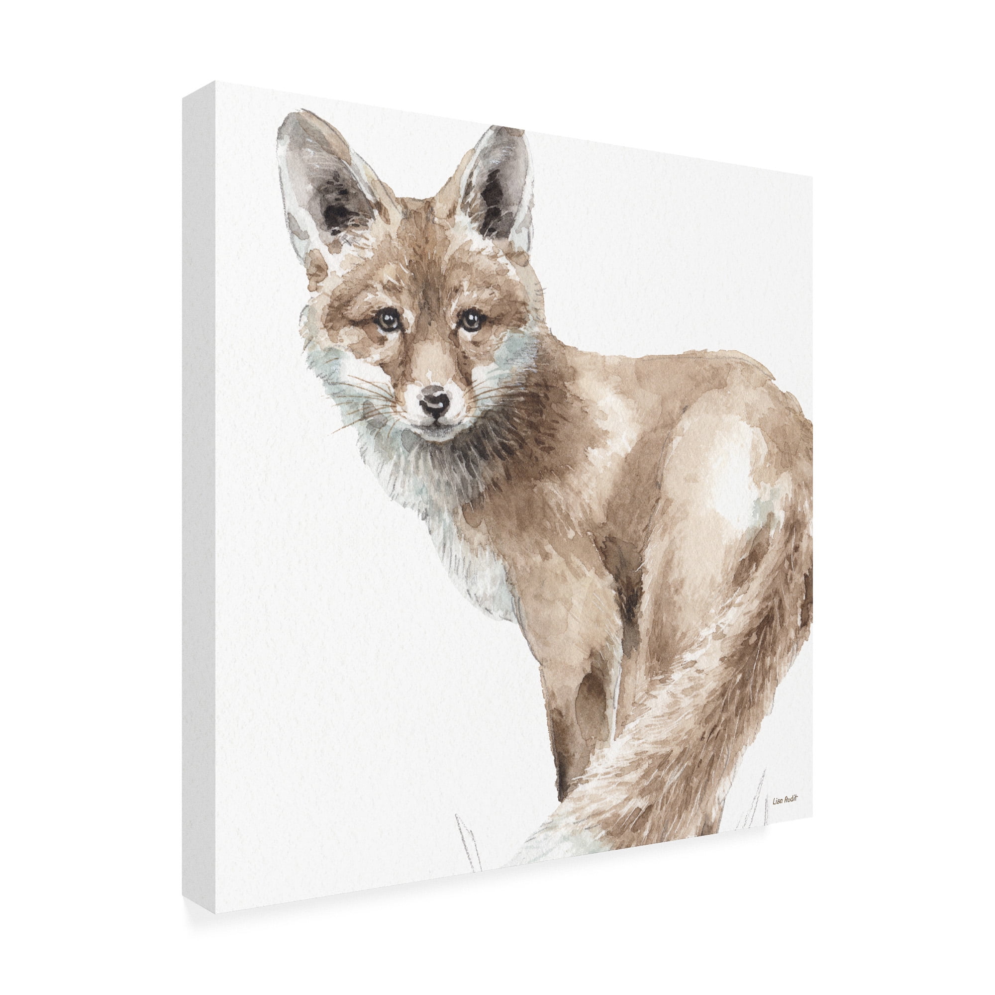 Trademark Fine Art 'Forest Friends V' Canvas Art by Lisa Audit
