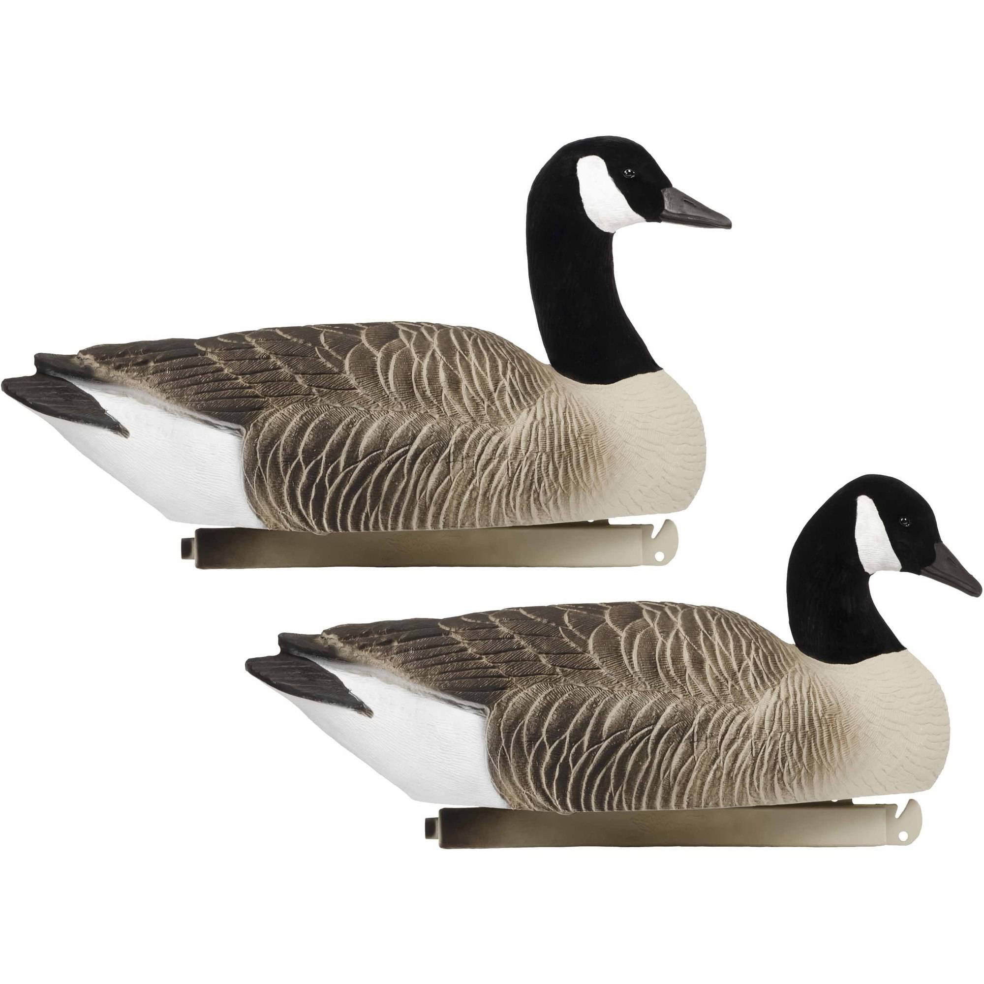 Tanglefree Pro Series Canada Goose Floater, Flocked Head, 4pk
