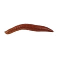 thumbnail image 3 of Berkley Gulp!® Floating Pinched Crawler, 2 in, Worms, Nightcrawler (6 Count), 3 of 3