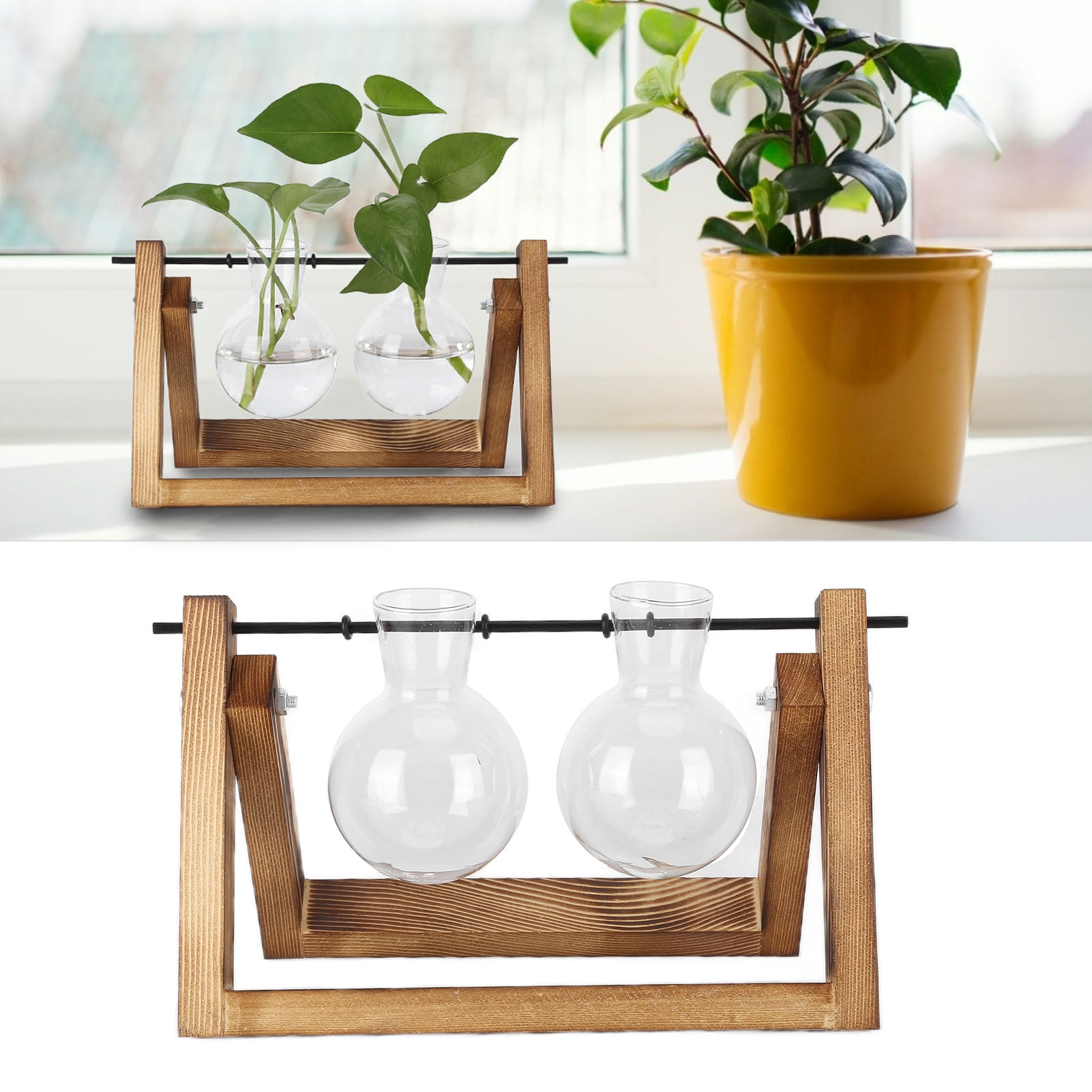 Glass Vase Planter Bulb Vase Planter Decoration Plant Terrarium With