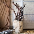 thumbnail image 4 of Artificial Rattan Wicker Dry Branches, 4 of 10