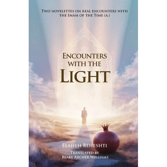 Encounters with the light, (Paperback)