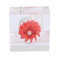 thumbnail image 3 of Indicador de flujo de enfriamiento de agua Acrílico Rosca G1/4in Accesorios para computadora 12 Medidores de agua de impulsor LSJ-PM3 Indicador de flujo de enfriamiento para PC ANGGREK Otros, 3 of 8