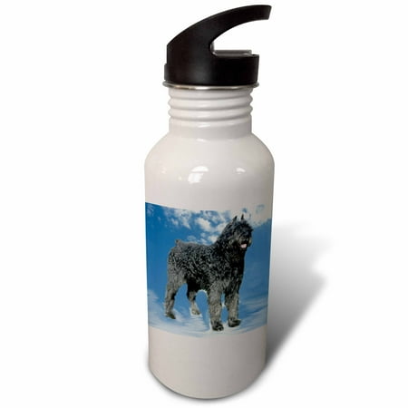 

3dRose Bouvier Des Flandres Sports Water Bottle 21oz