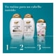 thumbnail image 4 of Acondicionador Ogx Nourishing coconut milk 385 ml, 4 of 4