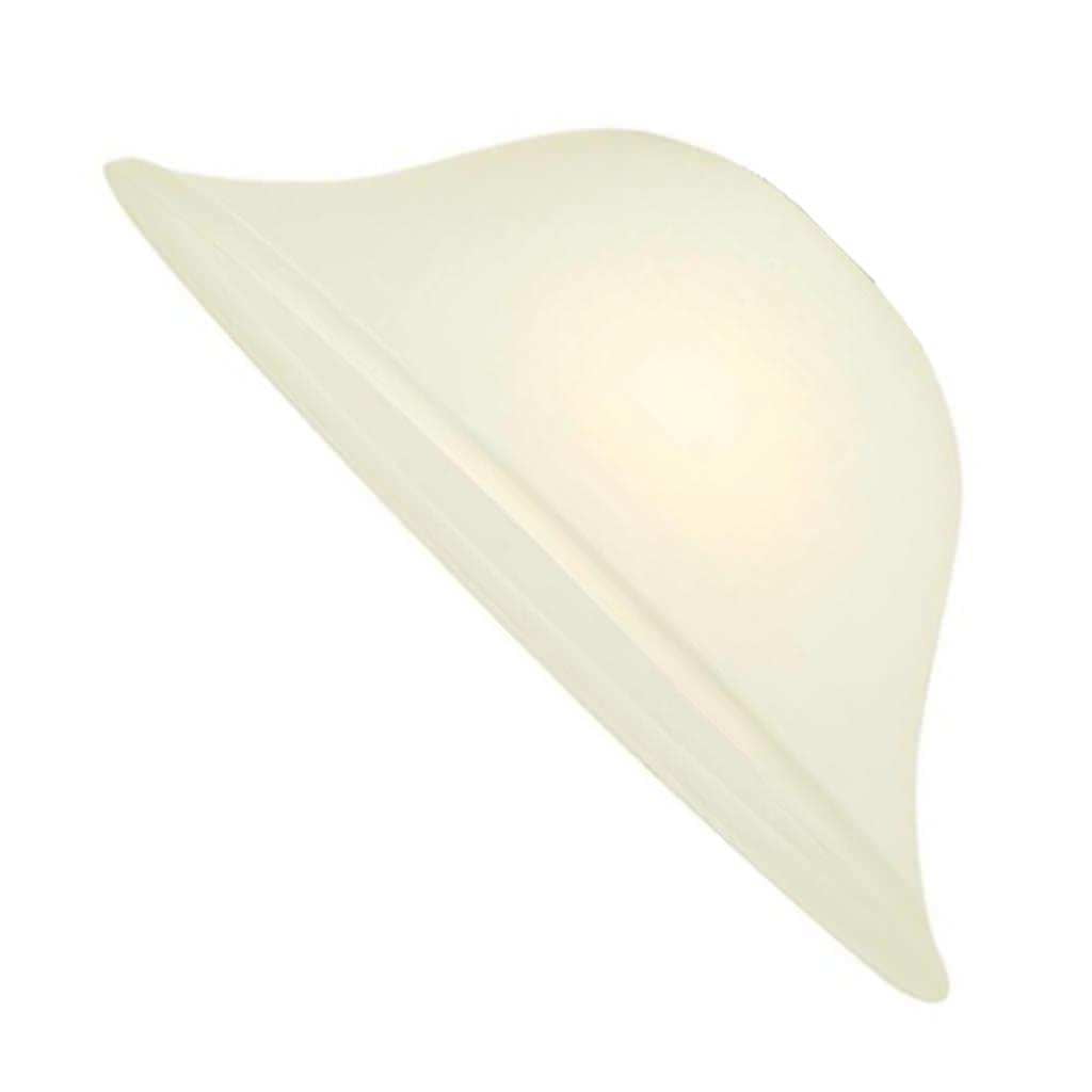 Westinghouse 630596810 Dunmore 2 light Island Pendant Replacement