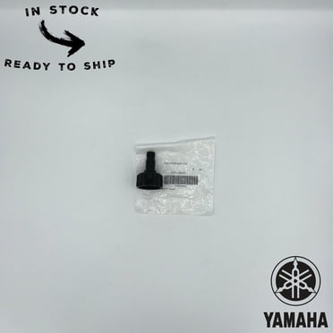 Yamaha Motor