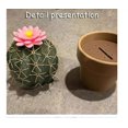 thumbnail image 5 of Forgecore Spikey Spices - Mini Cute 3D Printed Cactus Salt and Pepper Shakers, 5 of 5