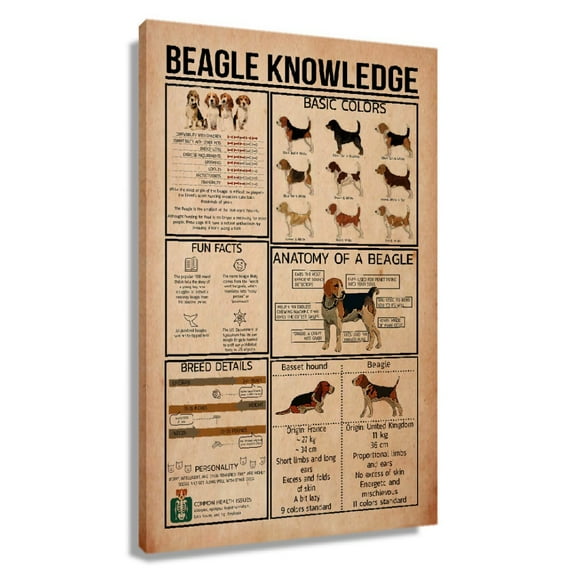 Beagle Dog Wall Art Knowledge Poster Educational Wall Art Infographic Posters for Kitchen Print Painting on Canvas for Living Room Giclee Artwork Unframed 20x30 in