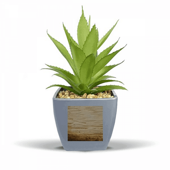 Rust Rusty Rough Iron Texture Vintage Fake Pineapple Flower Pot Vase Mini Decor