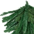 thumbnail image 4 of Northlight Mixed Pine Christmas Teardrop Swag - 60" - Unlit, 4 of 7