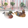 thumbnail image 4 of Escultura De Pato Flotante, Decoración De Pato Flotante, Antigrietas, Realista, Romántica, Bomba De Agua Integrada Para Pecera, 4 of 7