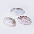 thumbnail image 2 of Natural Freshwater Pearl Shell Decoration 135~170x95~110x30~40mm, 2 of 4