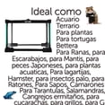 thumbnail image 2 of Mini Terrario de Vidrio REPTI ZOO para Reptiles 9Lt 21cm X 21cm X 20cm, 2 of 12
