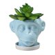 thumbnail image 1 of Forma De Cara De Animal, Maceta De Cerámica Irregular Para Jardín, Escultura, Adornos Artesanales, Maceta Para Decoración Del Hogar Advancent HA041308-03, 1 of 6