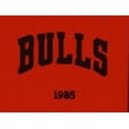 thumbnail image 6 of Chicago Basketball Bull's LARGE 22x14 Wall Hanging Logo Heritage Banner featuring logos from 1966, 1970, 1984 & 1985, 6 of 7