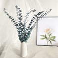 thumbnail image 3 of Paquete de 10 Eucaliptos Secos Naturales, Ramas de Eucalipto Frescas Conservadas para Arreglos Florales Bodas DecoracióN del Hogar, 3 of 5