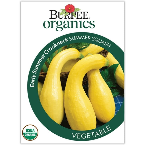 Burpee Organic Early Summer Crookneck Summer Squash Vegetable Seed, 1-Pack