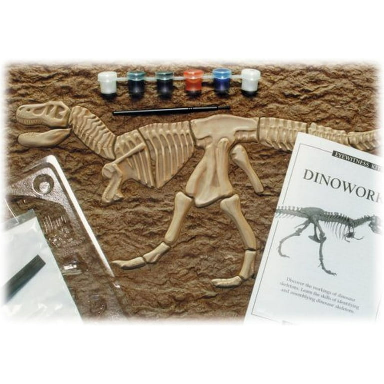 Eyewitness Kits Perfect Cast Dinoworks 19