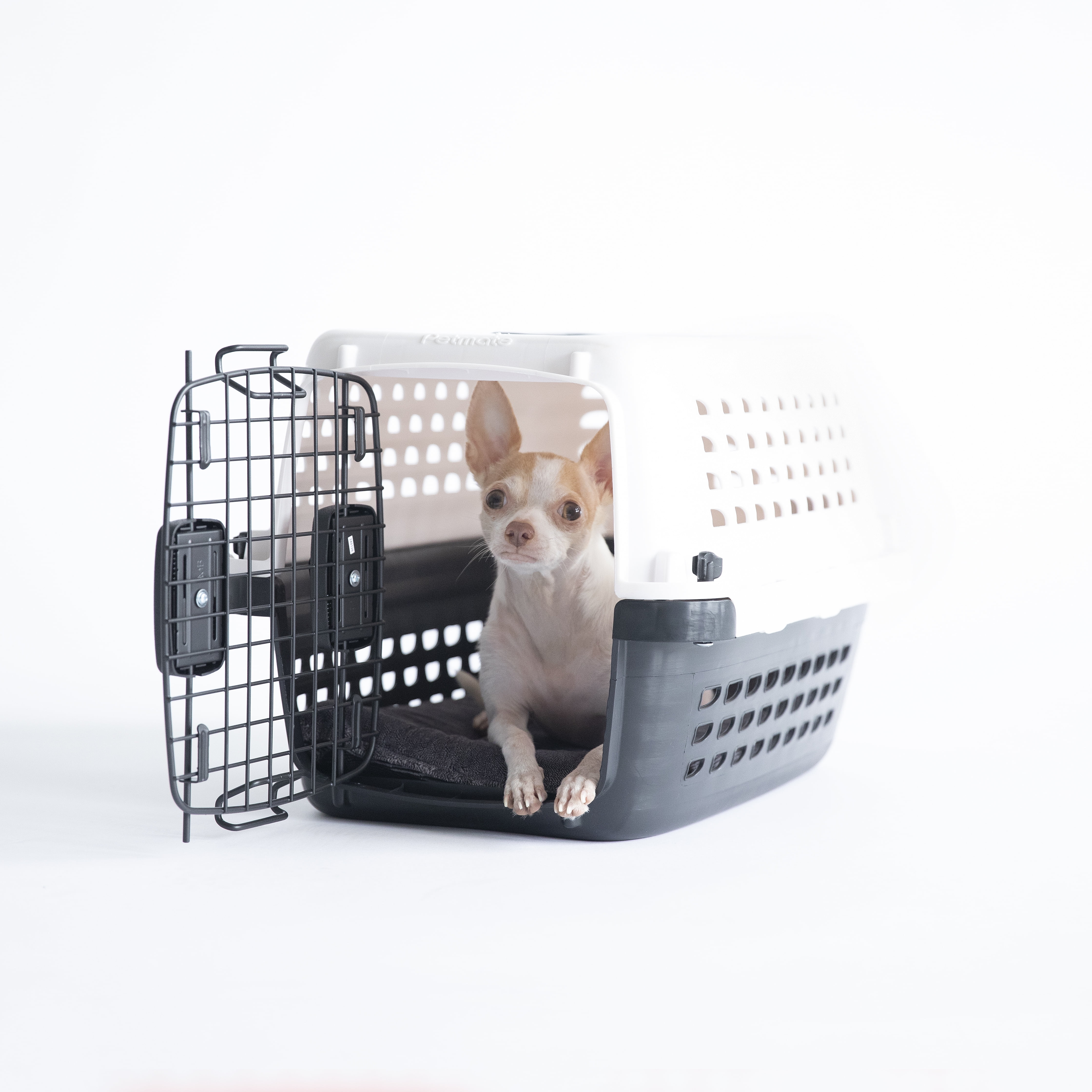 【公式サイト】正規ブランド品通販 Petmate Compass Dog Kennel, 20-30 lbs, 28 ケージ