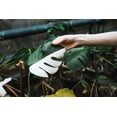 thumbnail image 5 of Gardenera Labs Monstera Borsigiana Potting Mix - Optimal Nutrients for Vibrant Growth - 1 Quart, 5 of 6