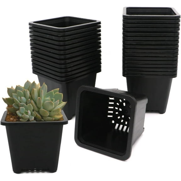 GIXUSIL 50Pcs Square Plant Pots, 2 inch Thicken Plastic Flower Pots Succulent Planter Nursery Pots for Small Potted Plants,Cuttings,Your Room,Garden Office and Balcony Decor (Black)