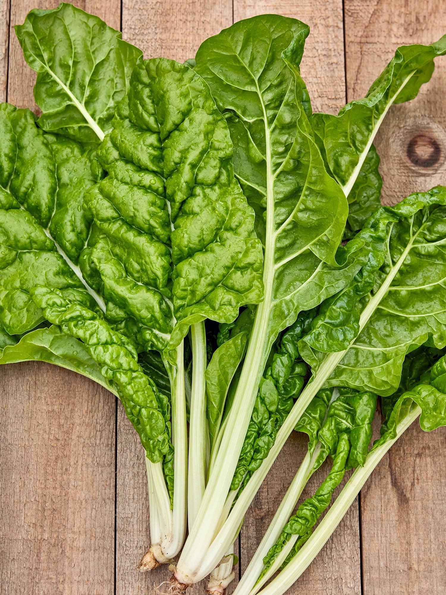 Burpee Fordhook Giant Swiss Chard, Annual Vegetable Seed, 1-Pack, Full Sun