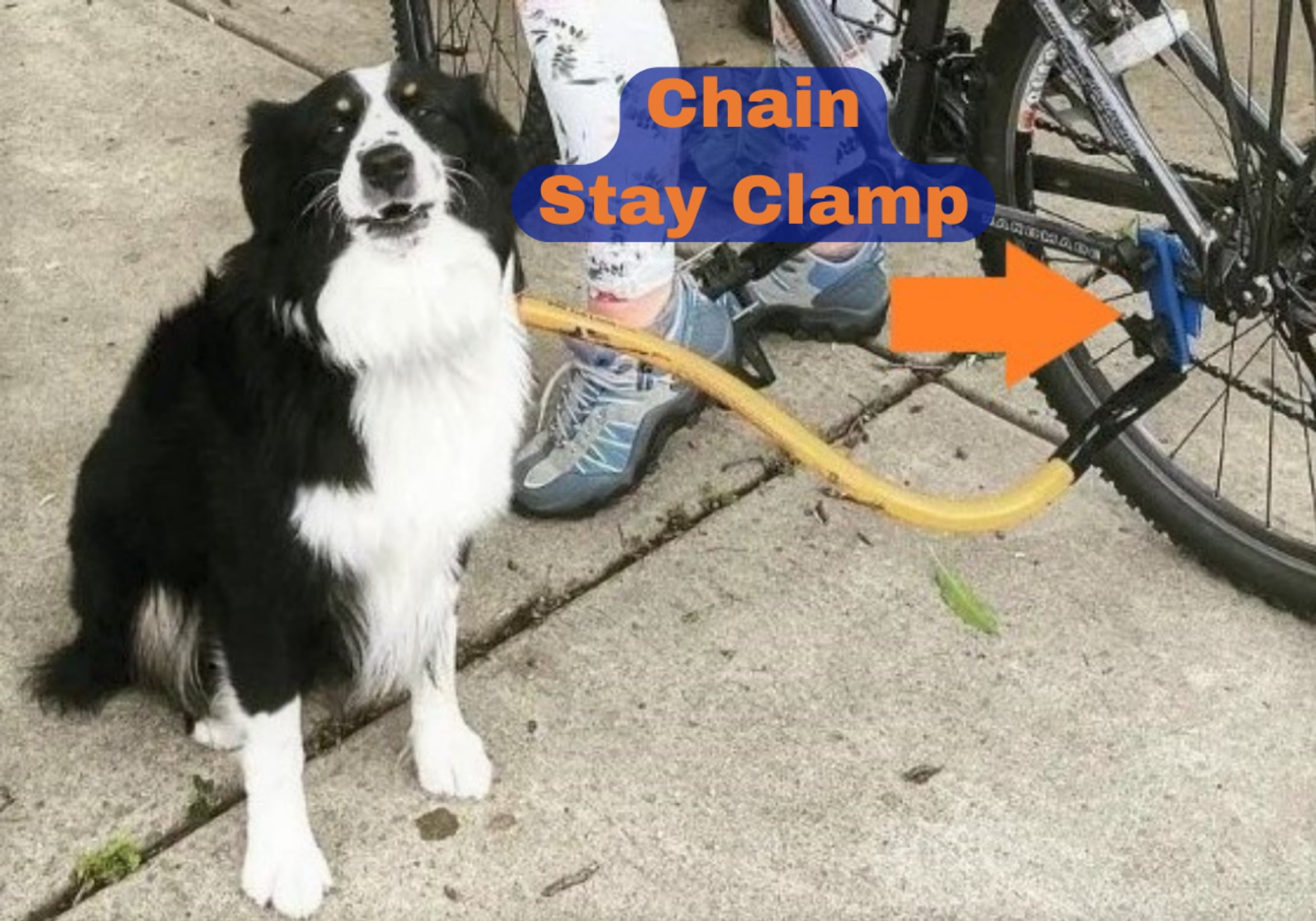 Red - Right Side - Bike Tow Leash Complete Package