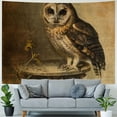 thumbnail image 4 of Orinice Owl Tapestry Wall Hanging Unique Style Graphic Tapestries for Home Wall Decor 40x30inch, 4 of 6