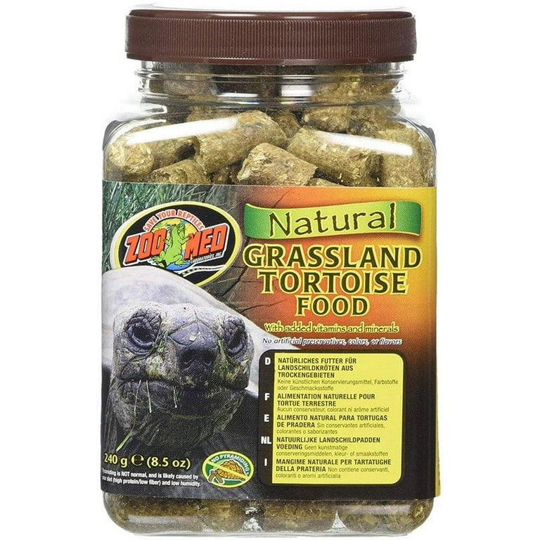 Zoomed grassland tortoise clearance food