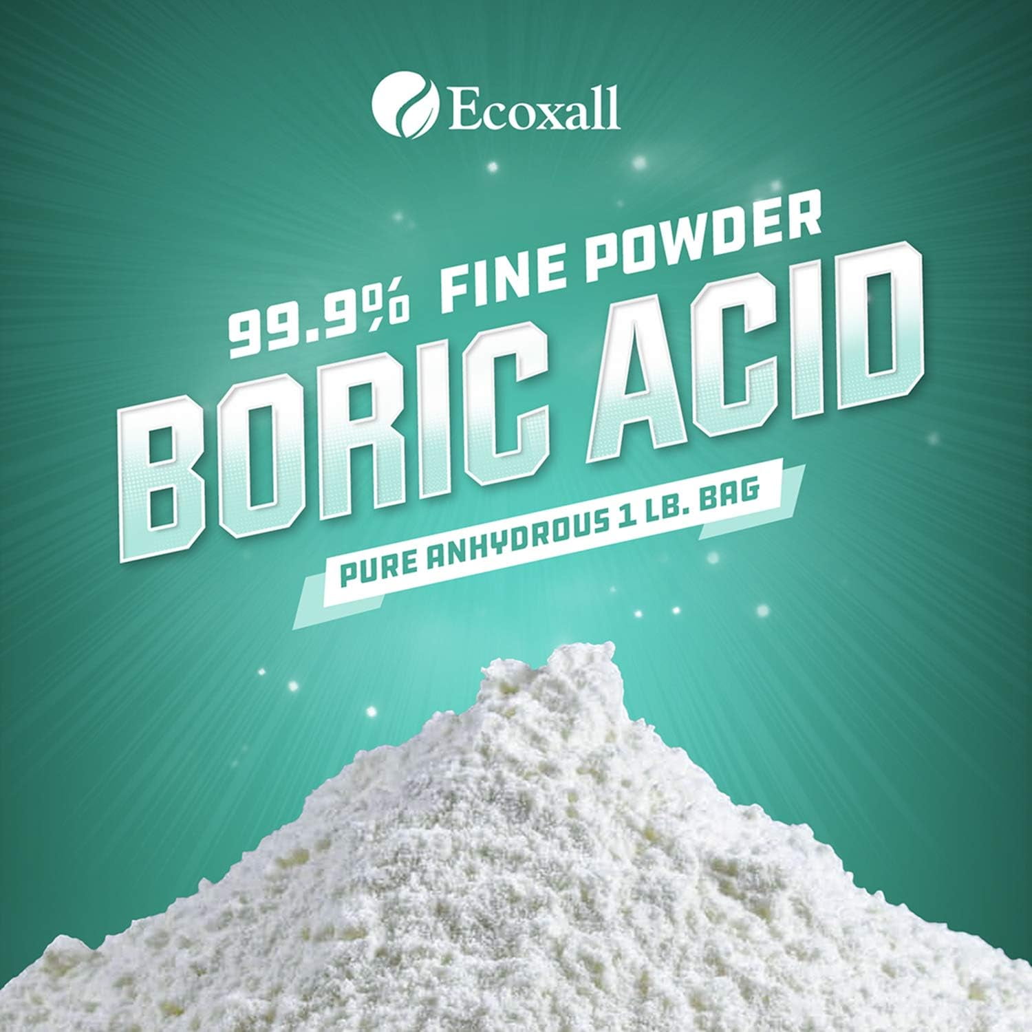 Premier Value Poudre d'acide borique - 355 ml 