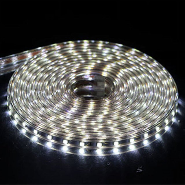 Tira de luces LED de colores para decoración del hogar, cinta luminosa de diodo de 220V con enchufe europeo, resistente al agua, para exteriores, jardín, 60LED/metro, 5050