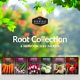 thumbnail image 2 of 6 Pack Root Vegetable Seed Collection - Heirloom Full Sun Biennial Vegetables, 2 of 6