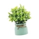 thumbnail image 5 of Pequeñas plantas falsas, plantas artificiales en macetas, mesa decorativa, centro de mesa, adorno de escritorio, plantas de imitación para alféizares Verde, 5 of 10