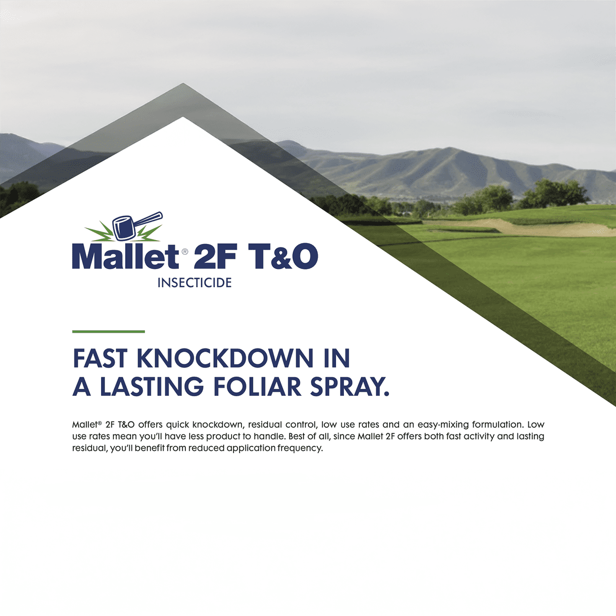 Mallet 2F T&O Insecticide - 16 fl oz Bottle by Nufarm