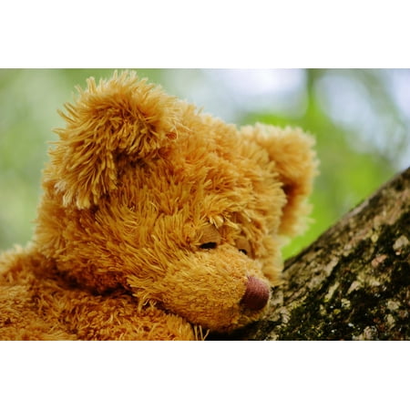 Latest Stuffed Animal With Picture Frame