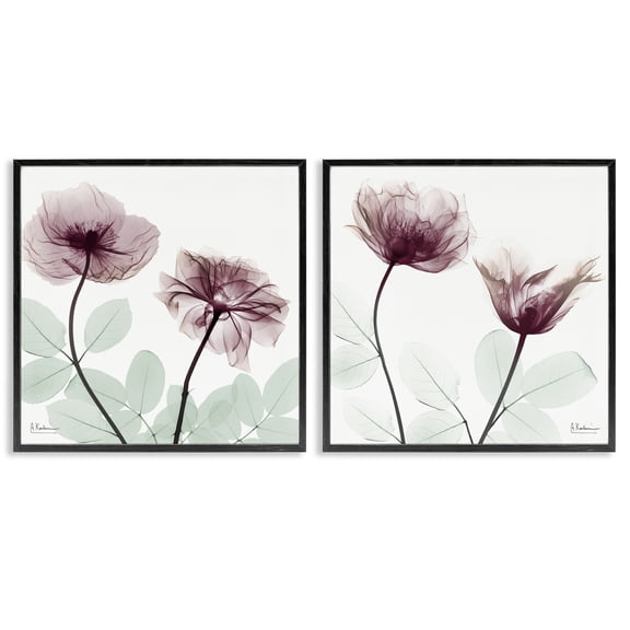 Stupell Industries Delicate Mauve Flowers Floral Painting Black Framed Art Print Wall Art, 12 x 12, Set of 2