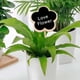 thumbnail image 4 of onlyliua Liquidación de Ahorro de Verano Pizarra Pequeña para Decoración de Plantas y Flores, Cartelera Enchufable Pequeña, 4 of 7