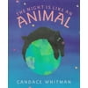 The Night Is Like an Animal [Hardcover - Used]