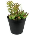 thumbnail image 2 of Northlight 8" Mixed Succulent Artificial Plant Arrangement in Pot - Green/Red, 2 of 7