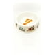 thumbnail image 4 of Plato De Plastico Mascota Estampado Imagenes Variado Genérico ME 13-16, 4 of 4