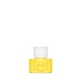 thumbnail image 1 of Lipidol Overnight Face Oil, 1 of 1