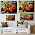 thumbnail image 4 of Designart "Dancing Tomato Vines III" Vegetables Canvas Prints, 4 of 7
